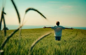 A person with outstretched arms in a lush green field under a clear blue sky in Bursa, Türkiye.